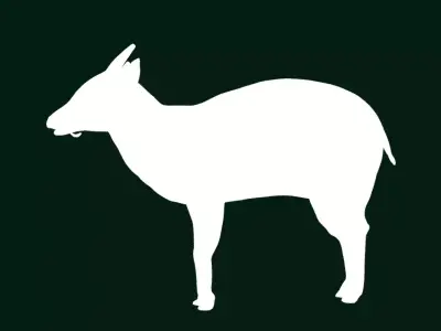 Chinese Muntjac Deer Free low-poly 3D model