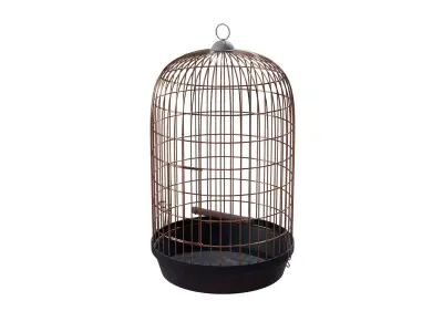 Birdcage bird cage 3D model