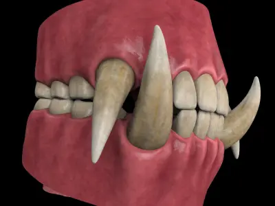Orc Teeth 3D model