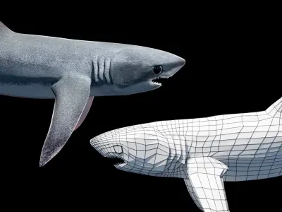 Animated Thresher Shark Low-poly 3D model