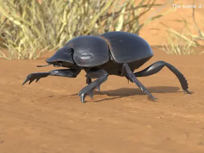 Mud Beetle Dirty Rigged for Maya 3D model
