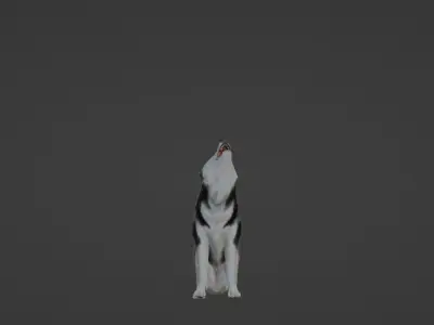 Wolf 3D dog running Low-poly 3D model