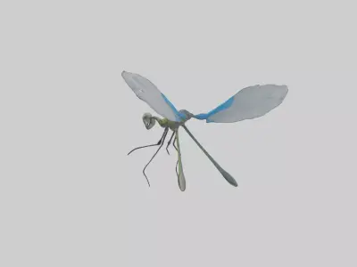 Damselfly landing model Low-poly 3D model