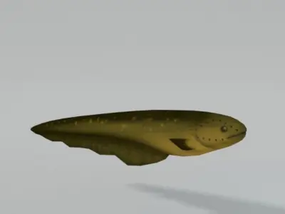 Electric Eel Low-poly 3D model