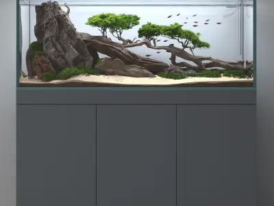 Aquascape aquarium Nature 3D model