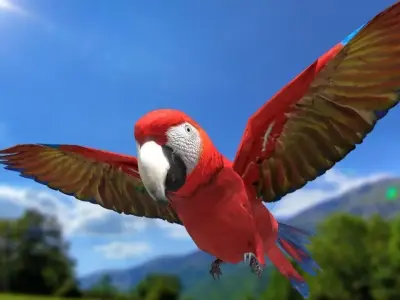 Scarlet Macaw - Animated Low-poly 3D model