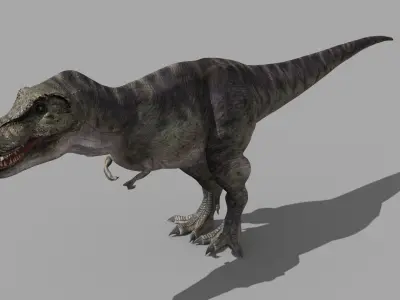 Accurate T Rex 8K - fully animated 3D model
