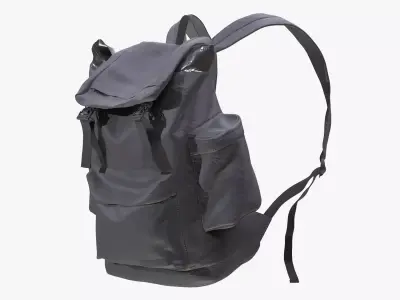 Backpack 208 - All MH Bodies - UE5 Skeletons - Rigged Low-poly 3D model