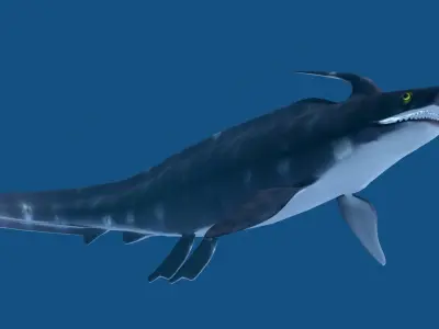 Xenacanthus whale shark Low-poly 3D model