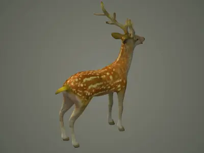 deer stag animal doe game lowpoly forest animation  3D model