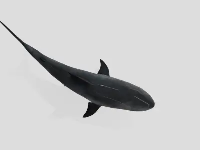 Shark Animated Low-poly Low-poly 3D model