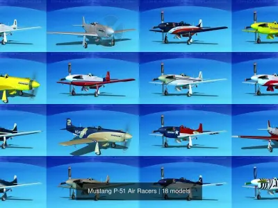 18 Mustang P-51 Air Racers 3D Model Collection