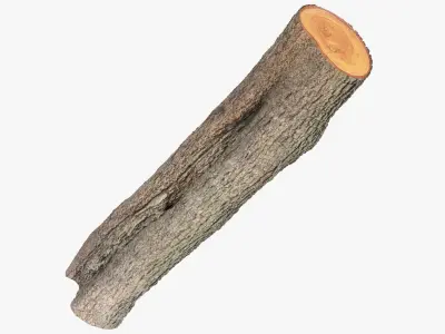 Logs Collection V3 3D model