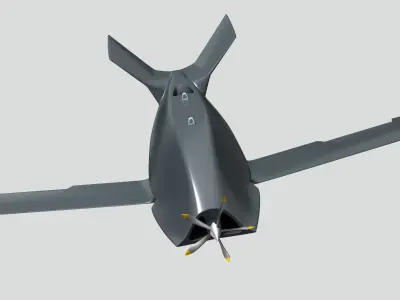 Eaglet UCAV 3D model