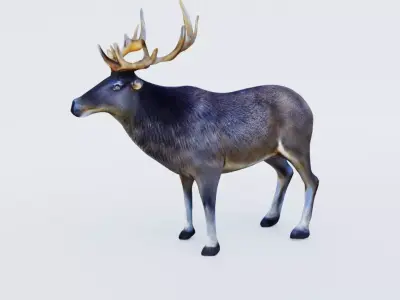 Elk Animal Free 3D model