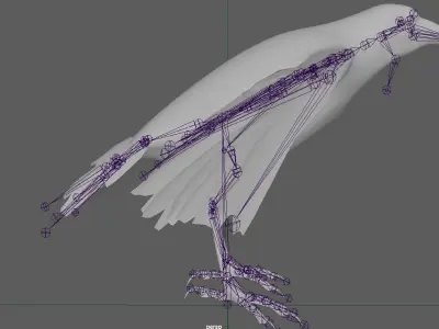 Raven Rigged  Low-poly 3D model