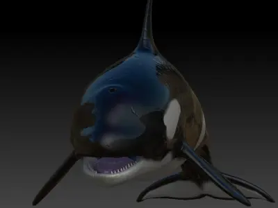 Rigged Orca Low-poly 3D model