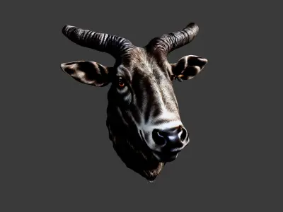 Bull Animal Head Low-poly 3D model