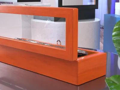 Watch Display Box with Watch Set 3D model