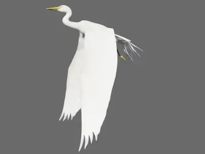 Egret flying in sky Low-poly 3D model