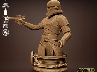 STAR WARS Captain Enoch Bust Tested for 3D printing 3D print model purchase