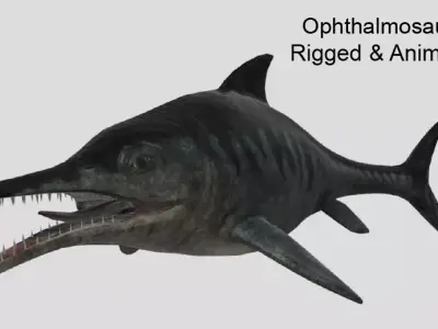 Ophthalmosaurus Realistic Animated Low-poly 3D model