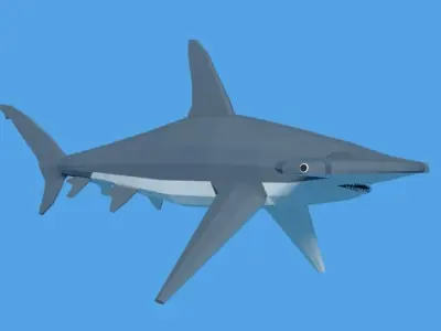 Low Poly Cartoon Hammerhead Shark Low-poly 3D model