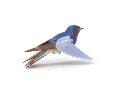 Colorful Sparrow model pack Low-poly 3D model