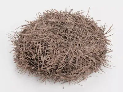 -Stork Nest- 3D model