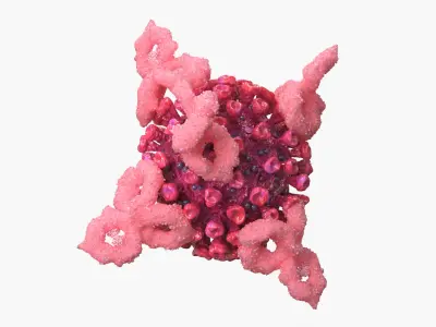 Immunology Virus with Antibodies Interaction Pink 3D model