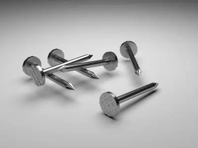 Steel Nails 3D model