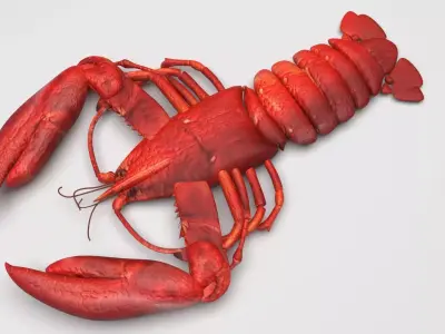 Lobster 3D model