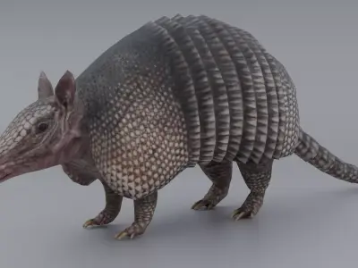 Armadillo Low-poly 3D model