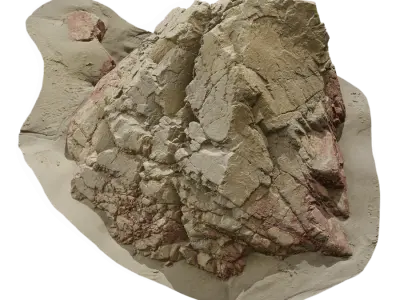  Medium Cracked Beach Rock Model 