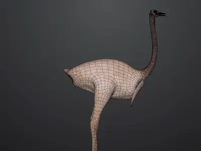 Realistic 3D model of Ostrich 3D model