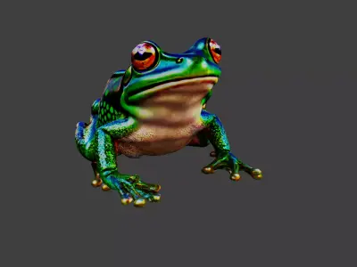 Frog Animal Low-poly 3D model