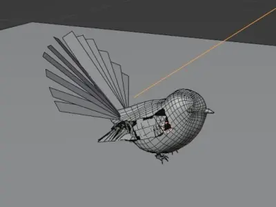 New Zealand fantail Bird Piwakawaka Low-poly 3D model