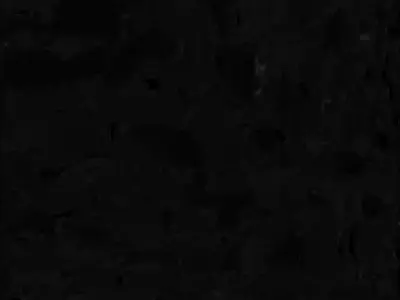 Cute Cartoon Baby Leopard 3D Model Low-poly 3D model