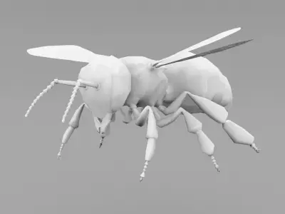 Realistic Bee 3D model