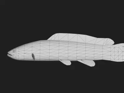 Bowfin Low-poly 3D model