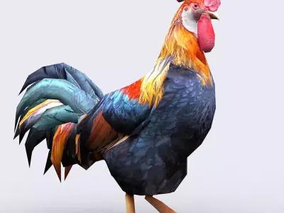 3DRT - Rooster Low-poly 3D model