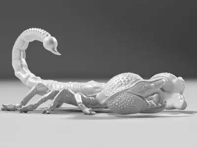 Scorpion 02 STL 3D model