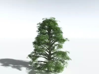 EVERYPlant Idiot Fruit Tree LowPoly Low-poly 3D model