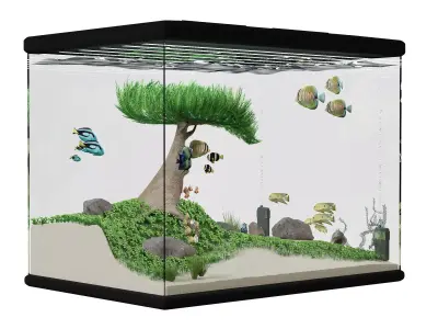 Aquascape Ryoboku Low-poly 3D model