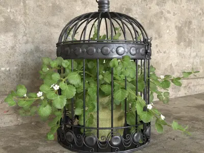 Ivy in a bird cage Free 3D model