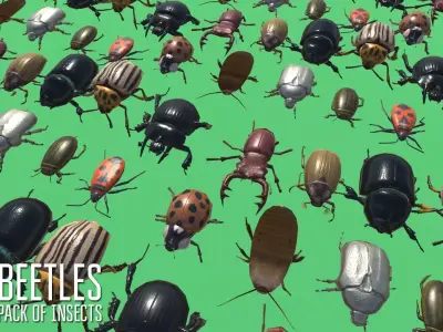 Beetles - pack of insects Low-poly 3D model