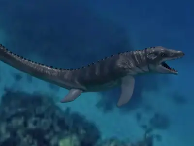 Mosasaurio dinosaur swimming in ocean Low-poly 3D model