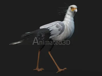 SecretaryBird A1 3D model