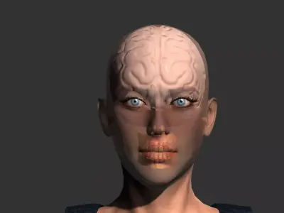 Brain model human Low-poly 3D model