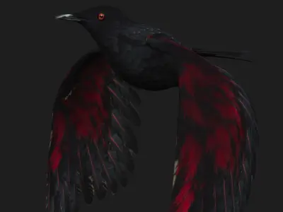 Raven A1 3D model